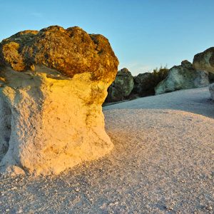 Каменни гъби, България
