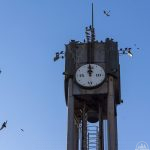 Часовникова кула - Монумент 1000 години Хасково